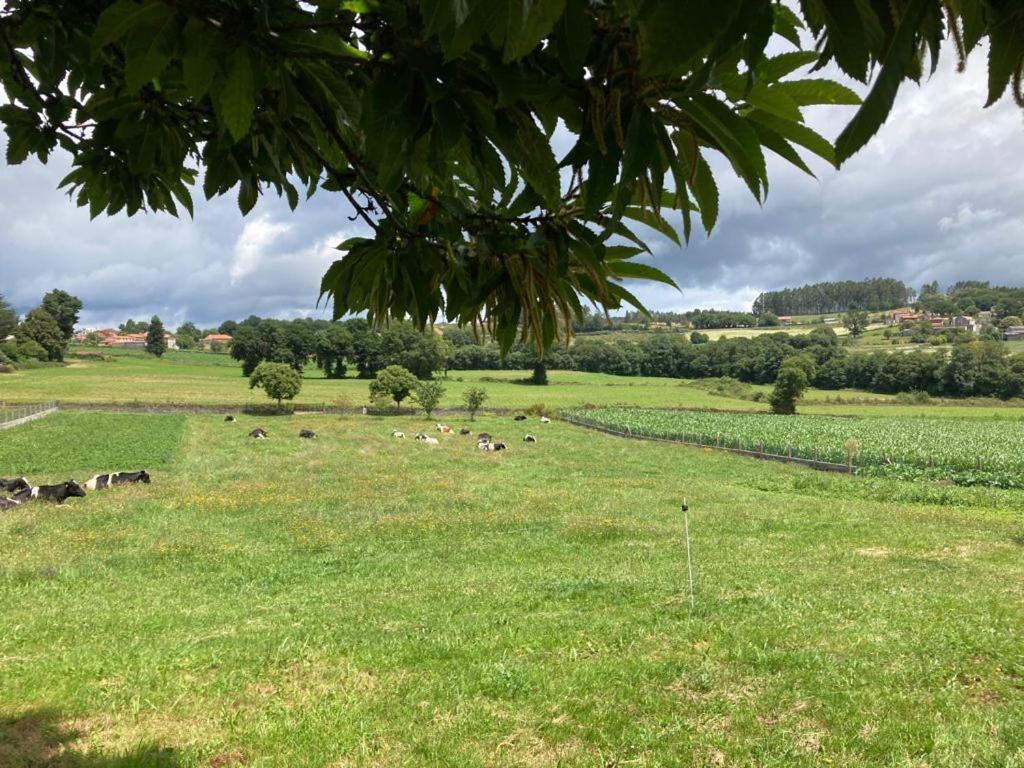 Hébergement de vacances Casa O Pazo - Rural - Camino Norte -