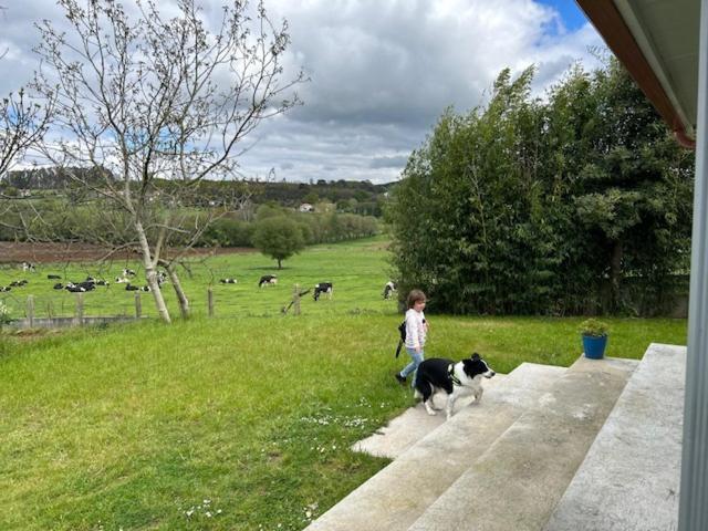 Casa O Pazo - Rural - Camino Norte - * Boimorto (A Coruna)