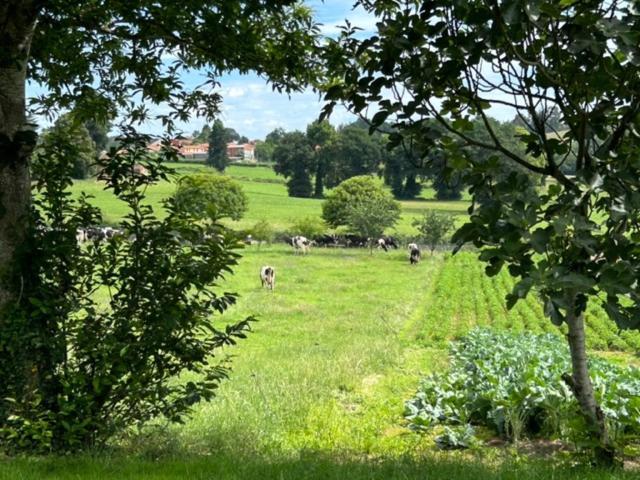Casa O Pazo - Rural - Camino Norte - Boimorto (A Coruna)